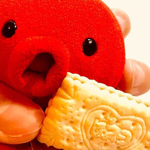 ちょっと小腹がすいた時……ビスコ！
たまに食べるの美味しいでつ〜🍪🍪🍪