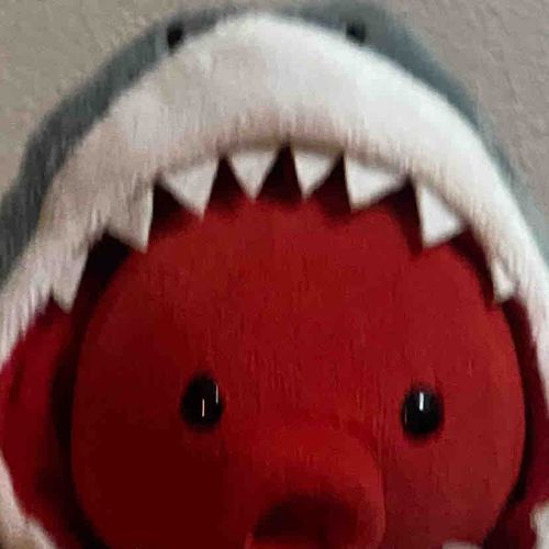 ﾃﾞｰﾃﾞﾝ ﾃﾞｰﾃﾞﾝ
ﾃﾞﾝﾃﾞﾝﾃﾞﾝﾃﾞﾝ ﾃﾞﾝﾃﾞﾝﾃﾞﾝﾃﾞﾝ
ﾃﾞｰﾝ🦈‼️‼️
JAWSなたこやんでつ！