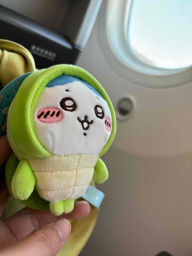 Fly~