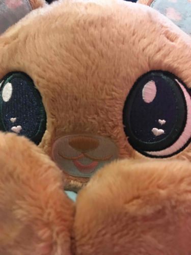 新しいお友達がきた！(*^▽^*)