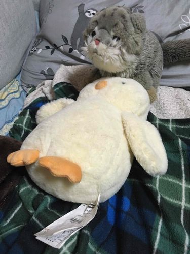 ヘッドスパごっこしてるの！