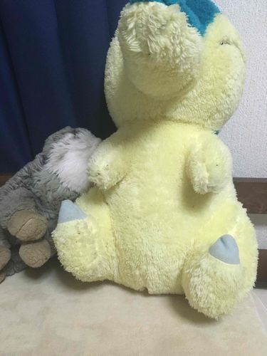 新しいお友達がきたよ！