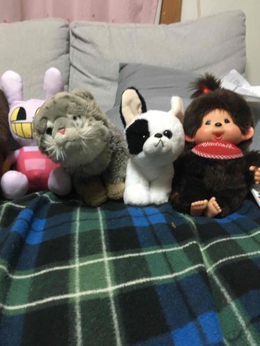 新入りがきたぞー！