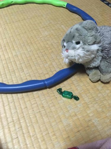 飼い主さんフラフープでダイエットするのにこのチョコはなんだろう、、、