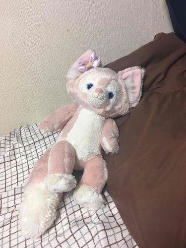 新しいお友達がきたよ！