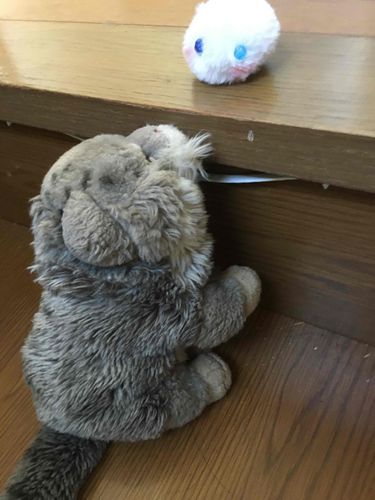 なんかいる？