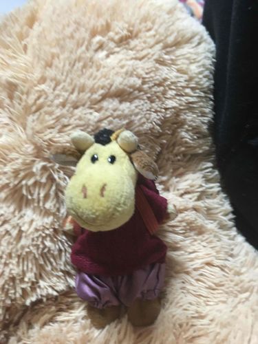 名前きんちゃん
性別？
すきな物どんぐりジュースいちごネジ(なんでも食べる)