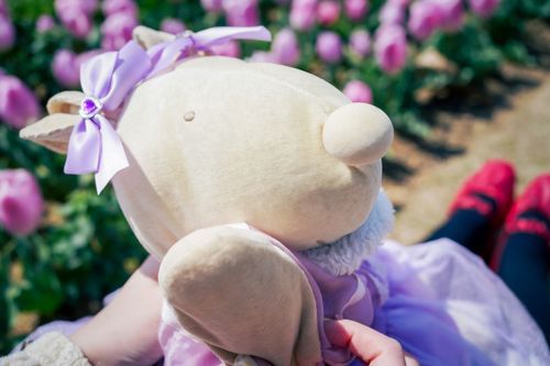 おはよう、チューリップ沢山見てきたよ🌷.*