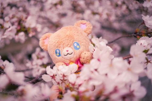 さくらさんモフ〜❀.*ﾟ