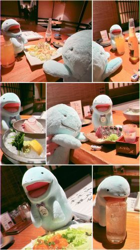 たくさんもぐもぐ( ˙༥˙ )