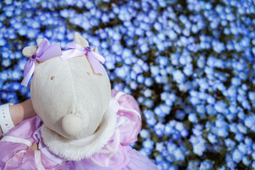 ネモフィラ⋆*❁**.·.