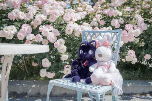 なかよしさんです⋆˚ʚɞ🐈‍⬛🐇*.𝝑𝝔