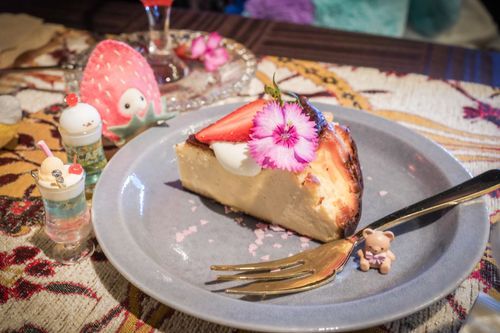 チーズケーキ𓂃 𓈒𓏸𑁍