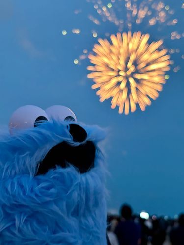 花火を見たよ╭👀╮
