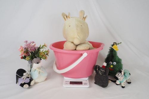 ぬいぐるみ病院から送ってもらえるお写真が毎回とてもかわいい🐭🐭🐭