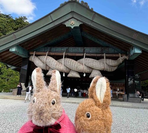 大しめ縄。大きかったなぁ〰️