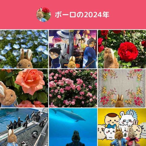 今年も色んなところにおでかけしてたのしかった。いいねしてくれたおともだち、みんなありがとう♥️
来年もよろしくお願いします。