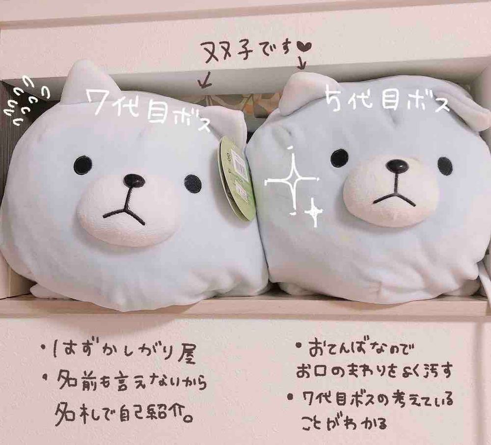 ぼしゅ の なかま 