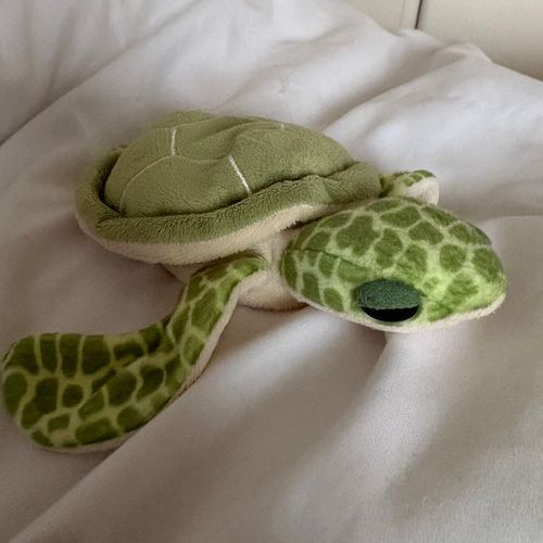 ウミガメのたぴです。
よろしくね🎈