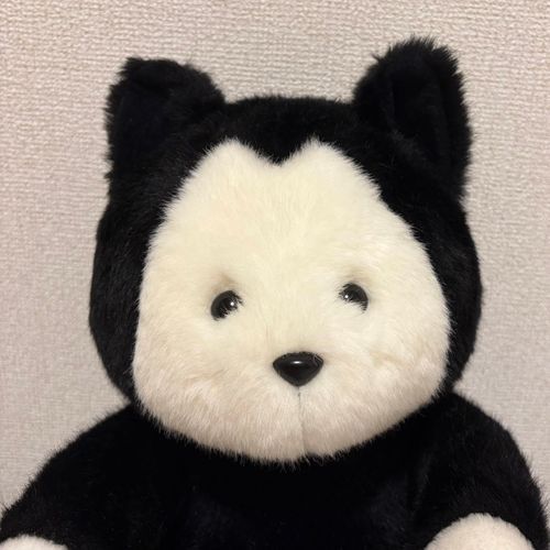 こう見えて猫なんです。
宇宙人ではありません👽