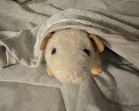 とっぽ