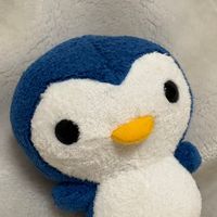 つぽ