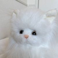 シャンティ