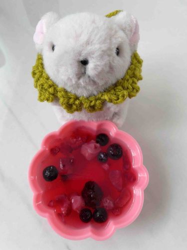 ゼリーも食べたよ🍓🫐