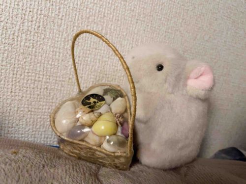 鳥取砂丘行ってみたいな