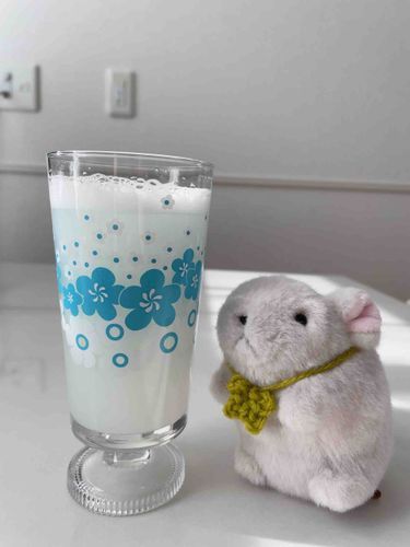 一休み🥛