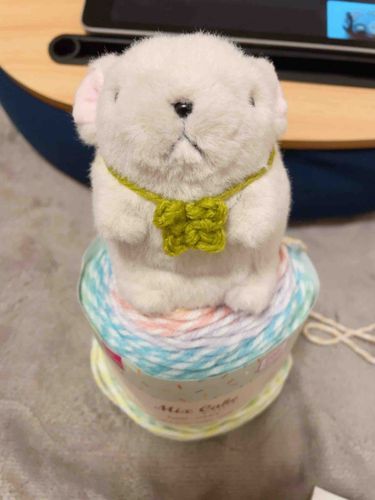 この毛糸可愛い〜🧶
もっと買えばよかったって言ってたよ〜