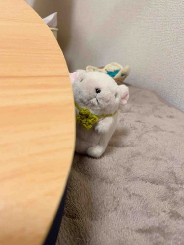 ちらり
