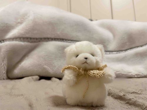 名所の毛布山でぴーす✌️