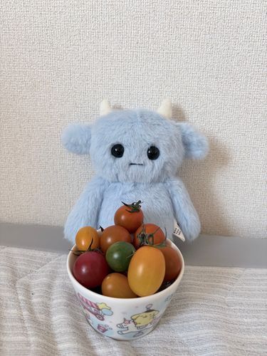 トマトうれしいね