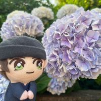 ぴょこ井さん