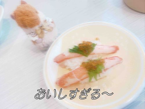 はま だぞ🍣