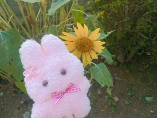 げんき だして ね