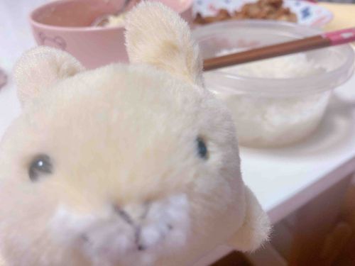 どうも ぺたんこです
今日は一緒にご飯食べ隊に任命されました いただきます(ᐢᴖ ·̫ ᴖᐢ)