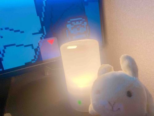 いちにち おつかれさまだよ
おやすみなさい(՞- -՞)ᐝ