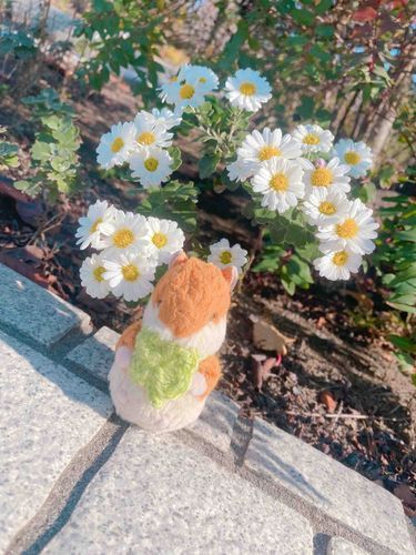 世界が鮮やか だな