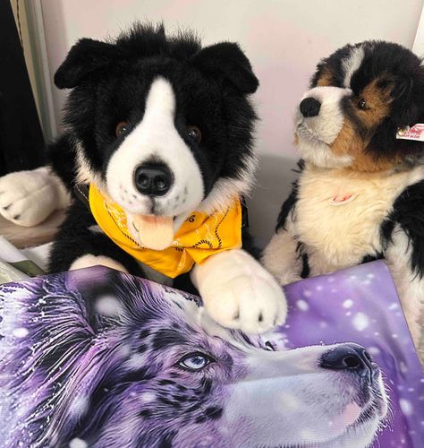 👋やあ🐶