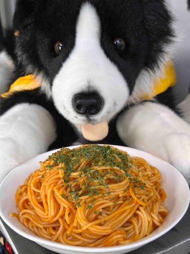 👋やあ🐶🍝🎶

