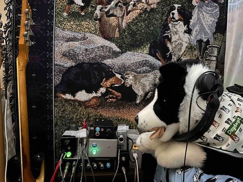 🐶🎶
