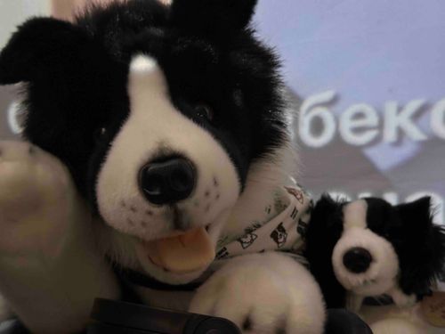 👋やあ🐶