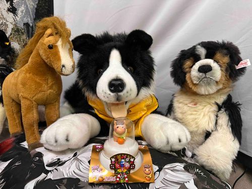 👋С новым годом!''開けましておめでとう''🐶🎍