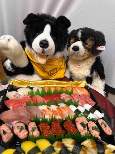 👋やあ🐶