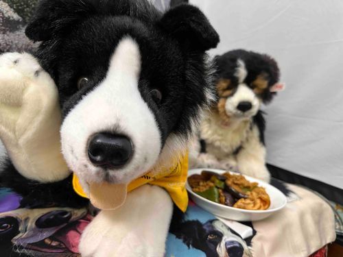 👋やあ🐶