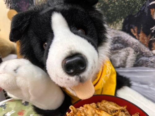 👋やあ🐶