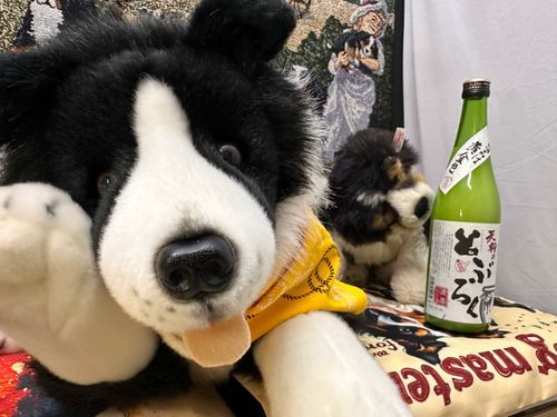 👋やあ🐶