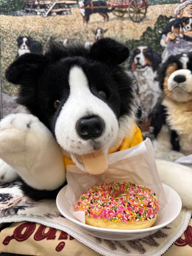 👋やあ🐶🍩✨